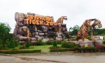 Sriracha Tiger Zoo