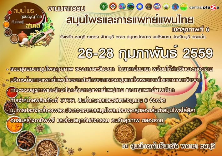 โบรชวรประชาสมพนธงานแผนไทย